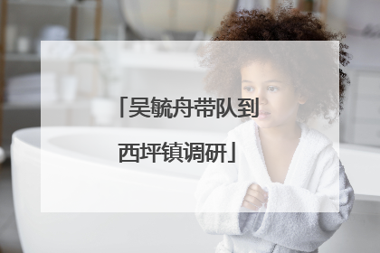 吴毓舟带队到西坪镇调研