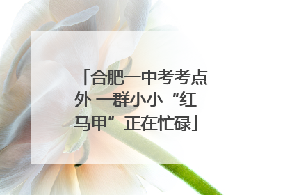 合肥一中考考点外 一群小小“红马甲”正在忙碌