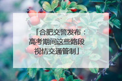 合肥交警发布：高考期间这些路段视情交通管制