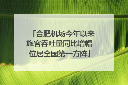 合肥机场今年以来旅客吞吐量同比增幅位居全国第一方阵
