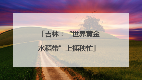 吉林：“世界黄金水稻带”上插秧忙