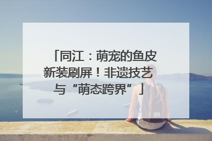 同江：萌宠的鱼皮新装刷屏！非遗技艺与“萌态跨界”