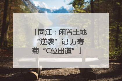 同江：闲置土地“逆袭”记 万寿菊“C位出道”