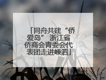 同舟共建“侨爱岛” 浙江省侨商会青委会代表团走进嵊泗