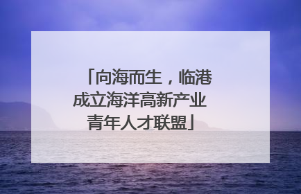 向海而生，临港成立海洋高新产业青年人才联盟