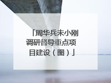 周华兵未小刚调研督导重点项目建设（图）