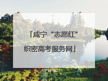 咸宁“志愿红”织密高考服务网