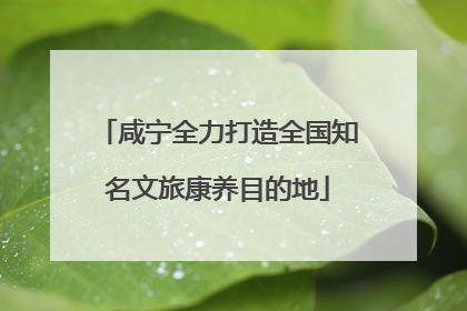 咸宁全力打造全国知名文旅康养目的地