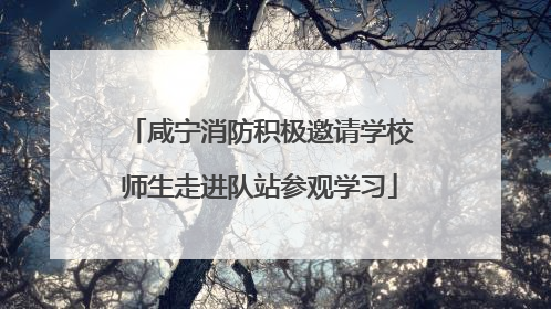咸宁消防积极邀请学校师生走进队站参观学习
