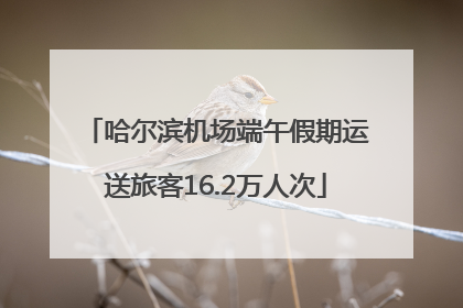 哈尔滨机场端午假期运送旅客16.2万人次