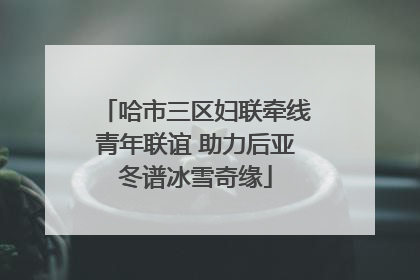哈市三区妇联牵线青年联谊 助力后亚冬谱冰雪奇缘