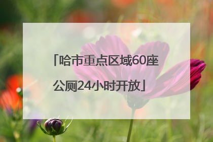 哈市重点区域60座公厕24小时开放