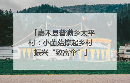 嘉禾县普满乡太平村：小菌菇撑起乡村振兴“致富伞”