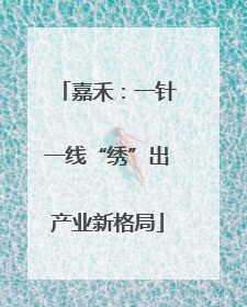 嘉禾：一针一线“绣”出产业新格局
