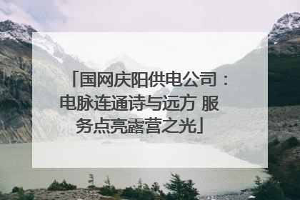 国网庆阳供电公司：电脉连通诗与远方 服务点亮露营之光