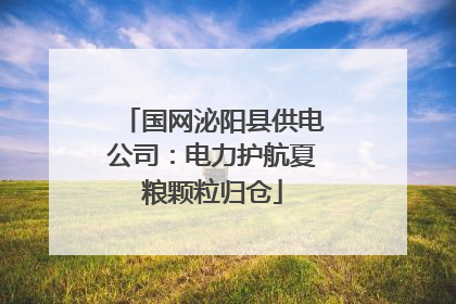 国网泌阳县供电公司：电力护航夏粮颗粒归仓