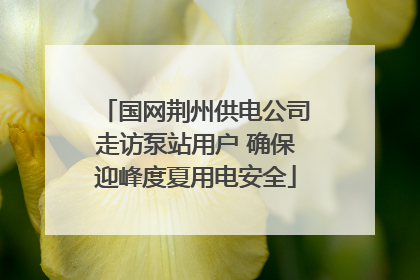国网荆州供电公司走访泵站用户 确保迎峰度夏用电安全