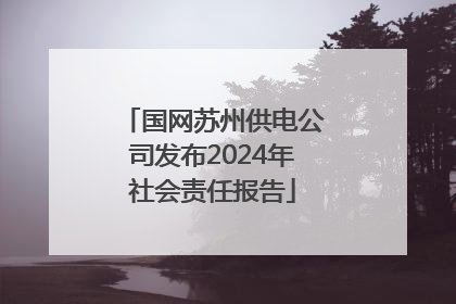 国网苏州供电公司发布2024年社会责任报告