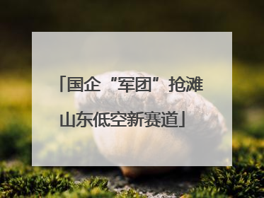 国企“军团”抢滩山东低空新赛道
