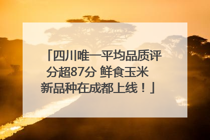 四川唯一平均品质评分超87分 鲜食玉米新品种在成都上线！