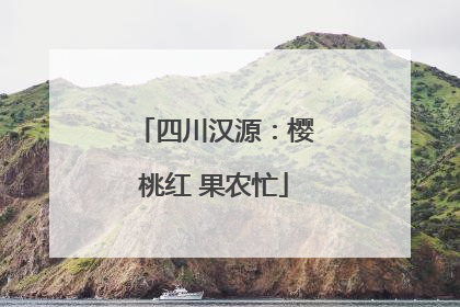 四川汉源：樱桃红 果农忙