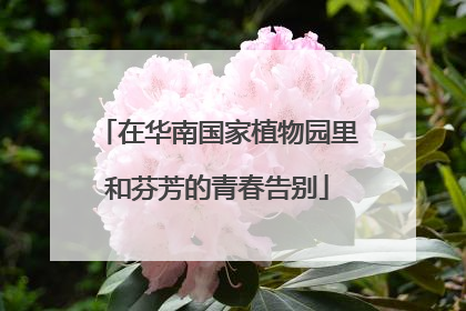 在华南国家植物园里和芬芳的青春告别