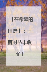 在希望的田野上：三夏时节丰收忙