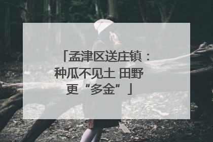 孟津区送庄镇：种瓜不见土 田野更“多金”