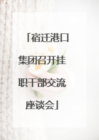 宿迁港口集团召开挂职干部交流座谈会