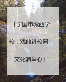 宁国市城西学校：戏曲进校园 文化润童心