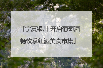 宁夏银川 开启葡萄酒畅饮季红酒美食市集