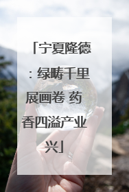 宁夏隆德：绿畴千里展画卷 药香四溢产业兴