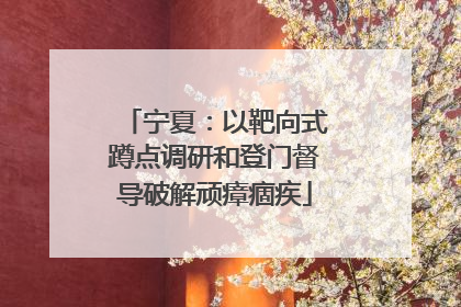 宁夏：以靶向式蹲点调研和登门督导破解顽瘴痼疾
