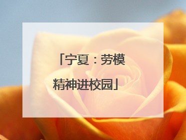 宁夏：劳模精神进校园