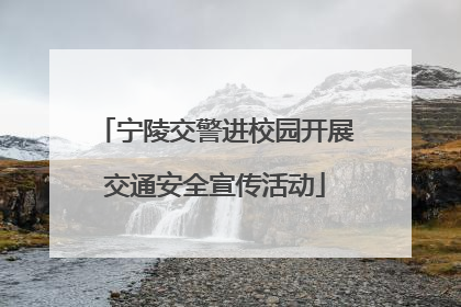 宁陵交警进校园开展交通安全宣传活动
