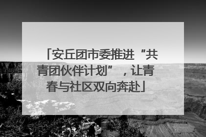 安丘团市委推进“共青团伙伴计划”，让青春与社区双向奔赴