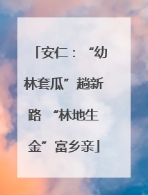 安仁：“幼林套瓜”趟新路 “林地生金”富乡亲