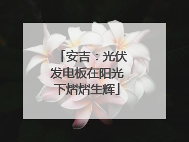 安吉：光伏发电板在阳光下熠熠生辉
