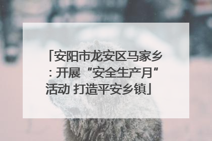 安阳市龙安区马家乡：开展“安全生产月”活动 打造平安乡镇