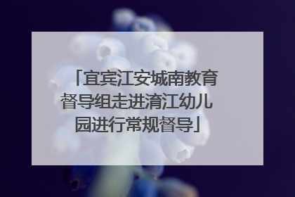 宜宾江安城南教育督导组走进淯江幼儿园进行常规督导