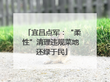 宜昌点军：“柔性”清理违规菜地 还绿于民