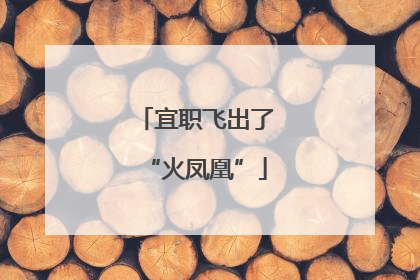 宜职飞出了“火凤凰”