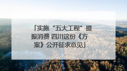 实施“五大工程”提振消费 四川这份《方案》公开征求意见