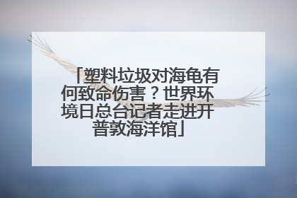 塑料垃圾对海龟有何致命伤害？世界环境日总台记者走进开普敦海洋馆