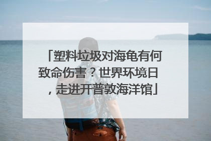 塑料垃圾对海龟有何致命伤害？世界环境日，走进开普敦海洋馆