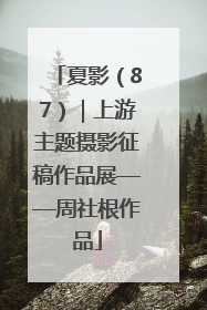 夏影（87）｜上游主题摄影征稿作品展——周社根作品