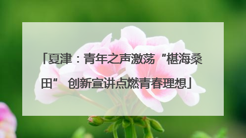 夏津：青年之声激荡“椹海桑田” 创新宣讲点燃青春理想