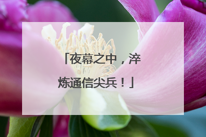 夜幕之中，淬炼通信尖兵！