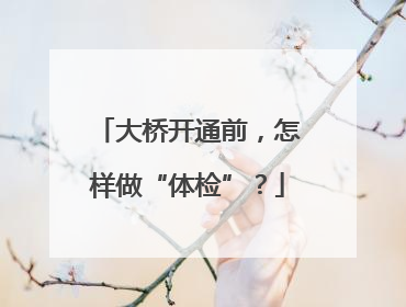 大桥开通前，怎样做“体检”？