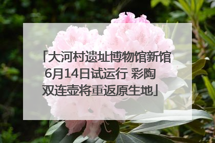 大河村遗址博物馆新馆6月14日试运行 彩陶双连壶将重返原生地